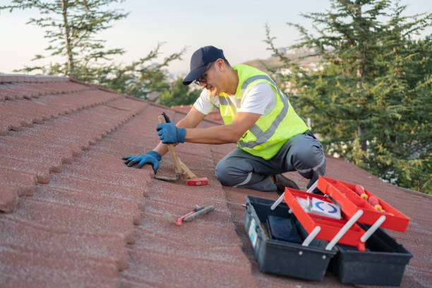 Best New Roof Installation  in Mango, FL